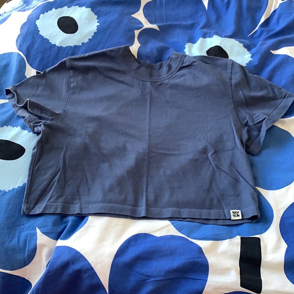 Lucy and Yak organic cotton crop tee shirt